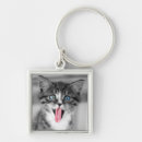 Search for selected key rings Kitten