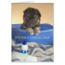 Search for with puppy graduation cards German shepherd