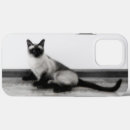 Search for siamese cat iphone cases Kitty