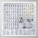 Search for musket posters Military