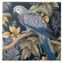 Search for african grey parrot Tropical