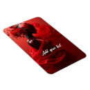 Search for helmet magnets Red