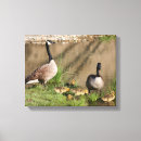 Search for canada geese paintings art Nature