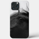 Search for white horse cases Animal