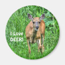 Search for grazing magnets Deer