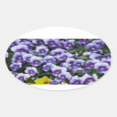 Search for violet stickers Colorful