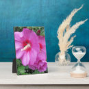 Search for floral plaques Garden