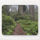 Search for redwood mouse mats Trail