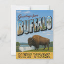Search for buffalo postcards Travel