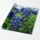 Search for texas bluebonnets wrapping paper Pretty