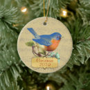 Search for bluebird christmas tree decorations Vintage