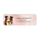 Search for collie return address labels Cute