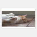 Search for sleep rectangle stickers Cat