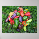 Search for pepper posters Red
