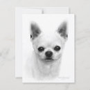 Search for realistic postcards Dog lover