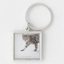 Search for nature lovers key rings Feline