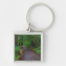 Search for forest path key rings Redwood