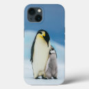Search for cutest iphone cases Emperor penguin