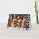 Search for golden christmas cards Holiday season