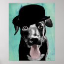 Search for bowler posters Animals
