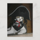 Search for catlover postcards Kitty