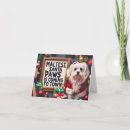 Search for maltese christmas cards Paws