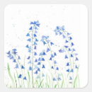 Search for bluebell flower stickers Bluebells