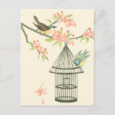 Search for cream background postcards Floral
