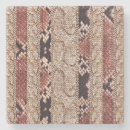 Search for snake coasters Abstract