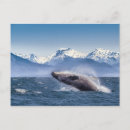 Search for whale postcards Boat