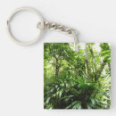 Search for rain forest key rings Green