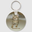 Search for rescue cat key rings Cats