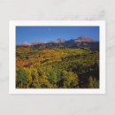 Search for wilson postcards Tree
