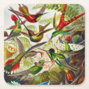 Search for biology barware Kunstformen der natur