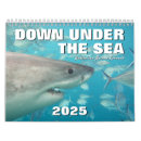 Search for seal calendars Ocean
