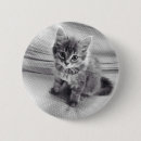 Search for fuzzy cat badges Cute