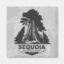 Search for sequoia national park magnets Sierra nevada