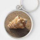 Search for pictures of shells key rings Conch shell