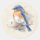 Search for cute blue bird stickers Adorable