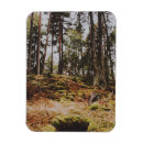 Search for fairytale magnets Nature