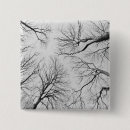 Search for leafless 1916 1918
