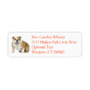 Search for bulldogs return address labels Puppy