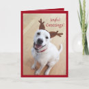 Search for adorable christmas cards Happy