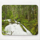 Search for hooded mouse mats Forest