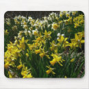 Search for white daffodil mouse mats Floral