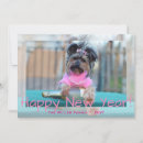 Search for terrier photo cards Dog lover