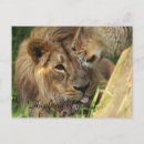 Search for expecting dad postcards Shower