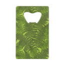 Search for green fern Woodland