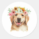 Search for golden retriever dog stickers Floral