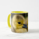 Search for baby chicken mugs Fluffy